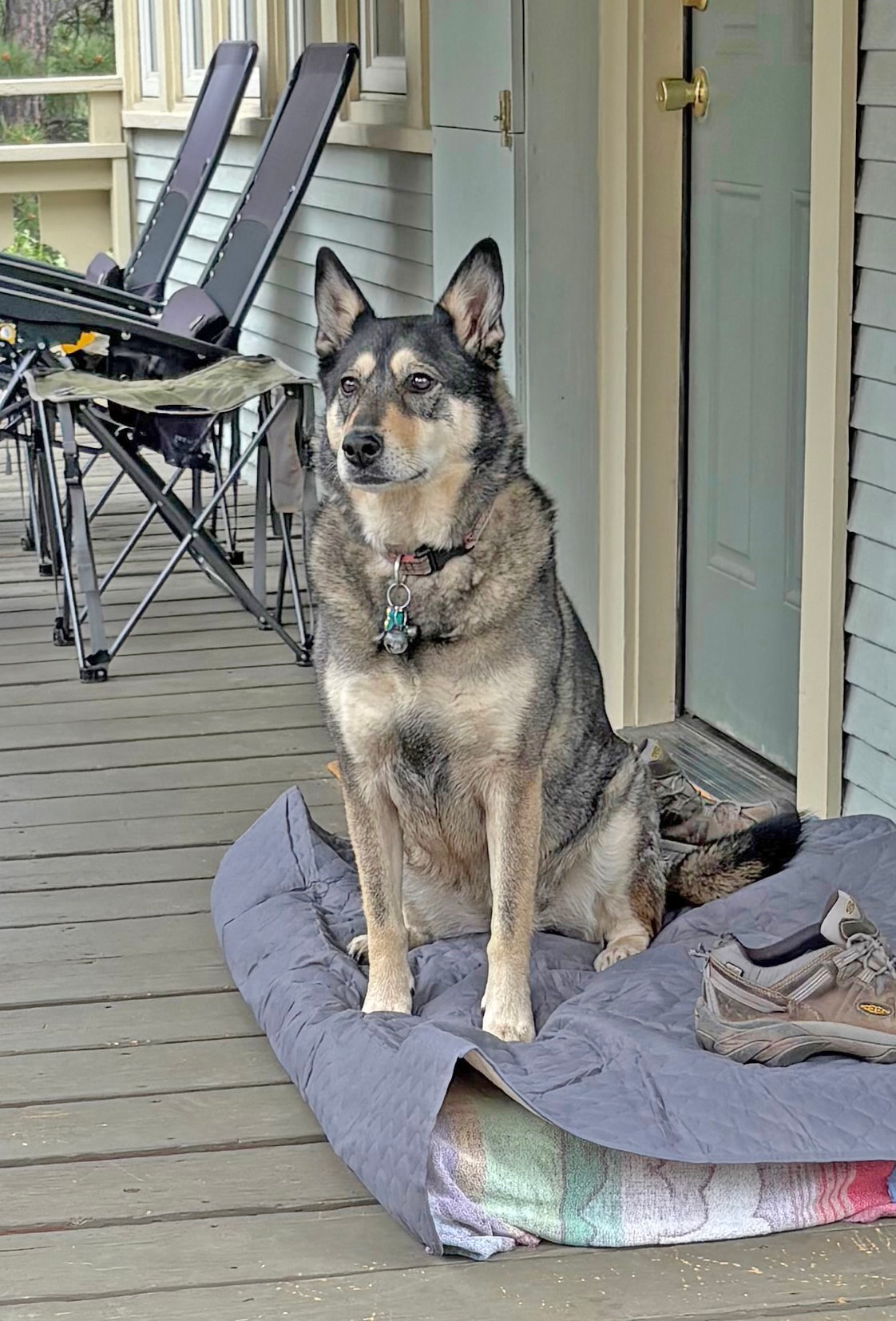 Before — original photograph of a dog on a porch